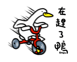 237956631