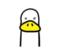 237956635