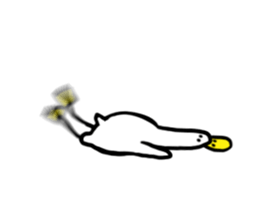 237956636