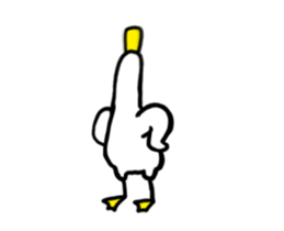 237956640