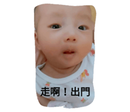 237975501