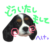 23801125