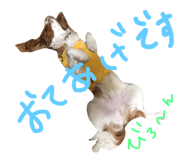 23801144