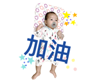 238016011