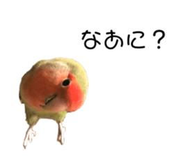 238029938