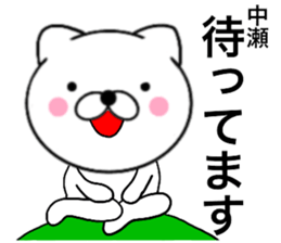 23807825