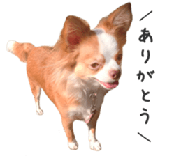 238080351