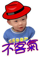 238113234