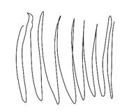 238157340