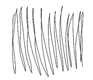 238157348