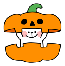 238224900