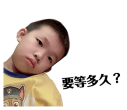 238316780