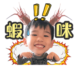 238327077