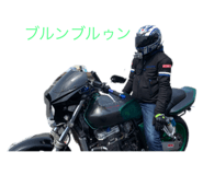 238331377