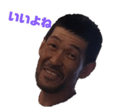 238332876