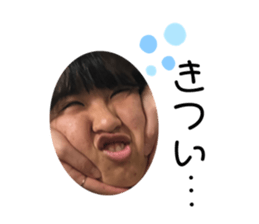 238343893
