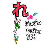 238415555