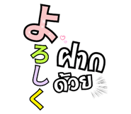 238415556