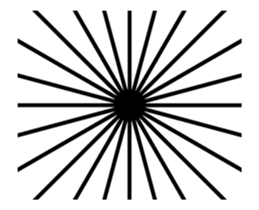 238418404