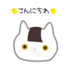 23844289
