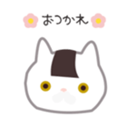 23844290