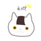 23844293