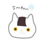 23844294