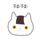 23844295