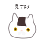 23844303