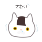 23844308