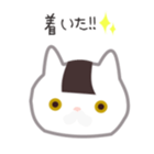 23844310
