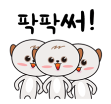 238445462
