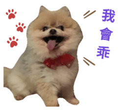 238450793