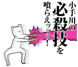 238462427