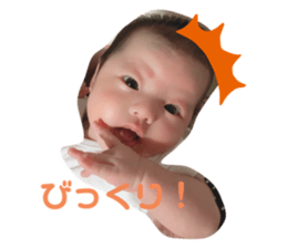 238463491