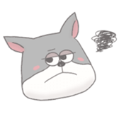 238503205