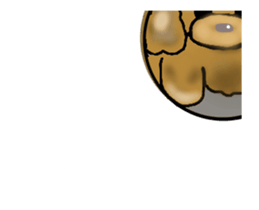 238517532