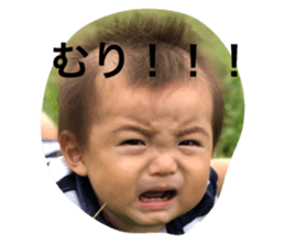 238519809