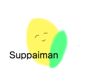 238532904
