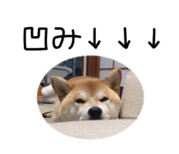 23859413