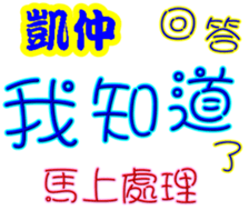 238599561
