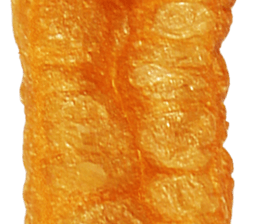 238629596