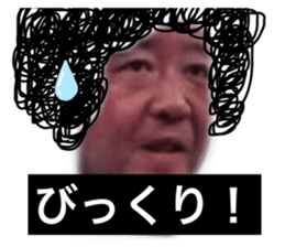 238696036