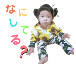 238975992