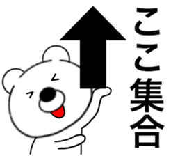 23907104