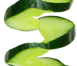 239325493