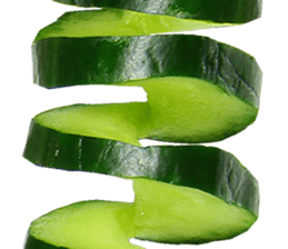 239325508
