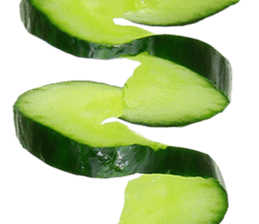239325511