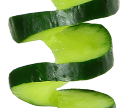 239325517