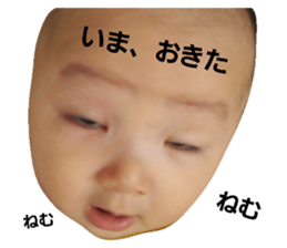 239392947